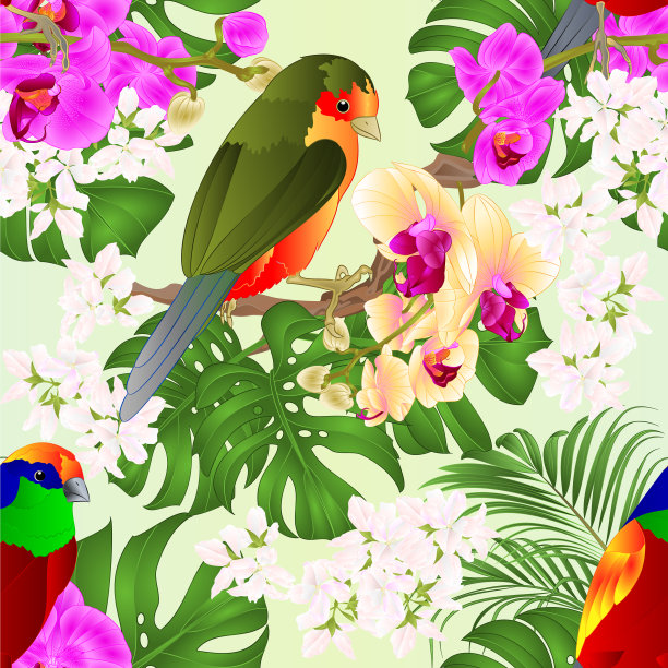 无缝纹理热带鸟类站立图片下载