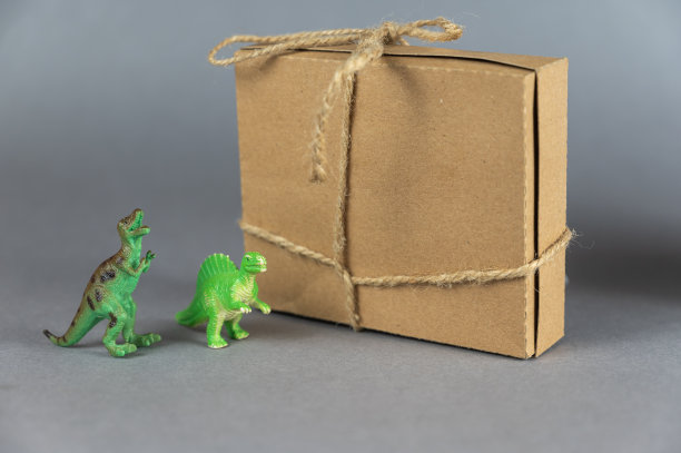 棕色的纸板箱和灰色背景下两只恐龙的微缩模型。猎物用后腿站立的绿色小图形。用绳子捆扎的长方形盒子。有选择性的重点。图片下载