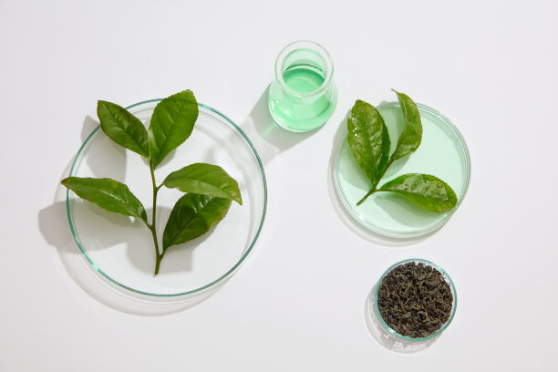 绿茶概念图片下载