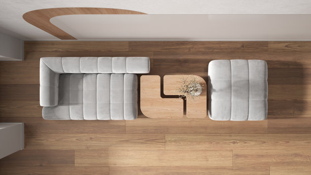 优雅的客厅在白色色调，现代沙发和坐垫，木制边桌盆景，混凝土墙壁与装饰。镶花地板。俯视图，平面图，上面，当代室内设计图片下载