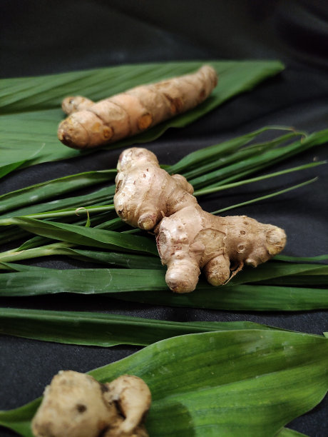 新鲜姜、姜黄和芳香姜，还有一些绿叶图片下载