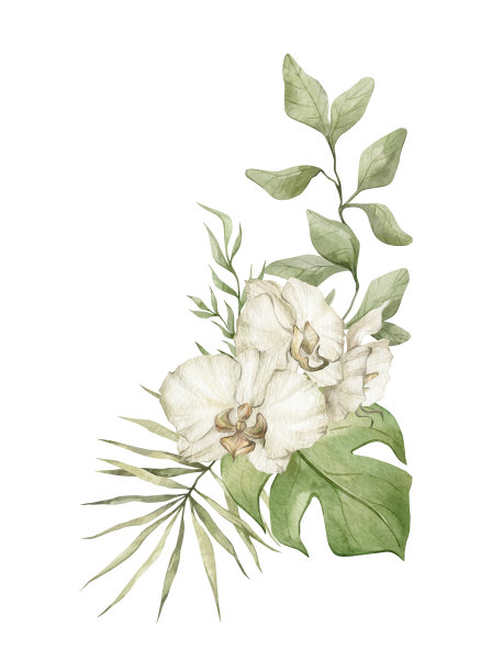 水彩热带花束图片下载
