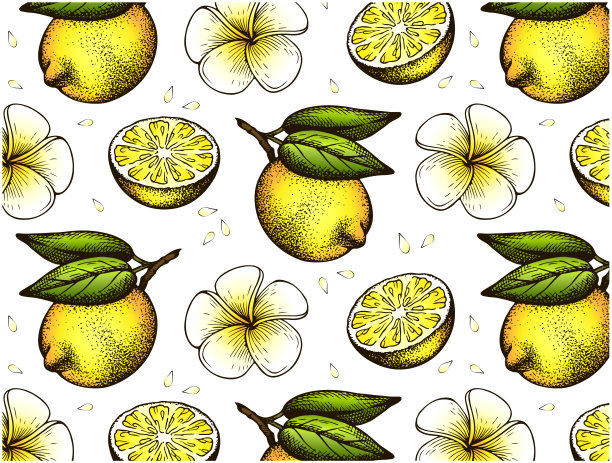 手绘的黄色柠檬图案与绿叶和白色异域花孤立在白色背景。图片下载