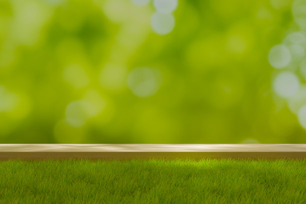 产品展示平台背景在森林与木基座在草地上，3d渲染图片下载