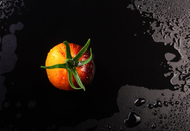 湿的黄红色条纹番茄图片下载