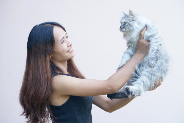 一个女人抱着一只灰猫开心地笑着图片下载