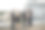 不同的伴侣在户外用个人设备发邮件图片下载