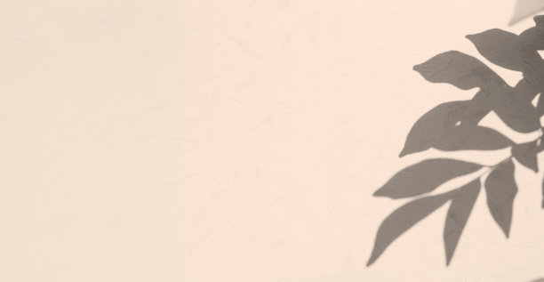 阴影叶热带夏季背景，抽象叶枝植物模糊米色水泥大理石背景，光覆盖花自然在墙壁地板空间产品，效果阳光夏季模型图片下载