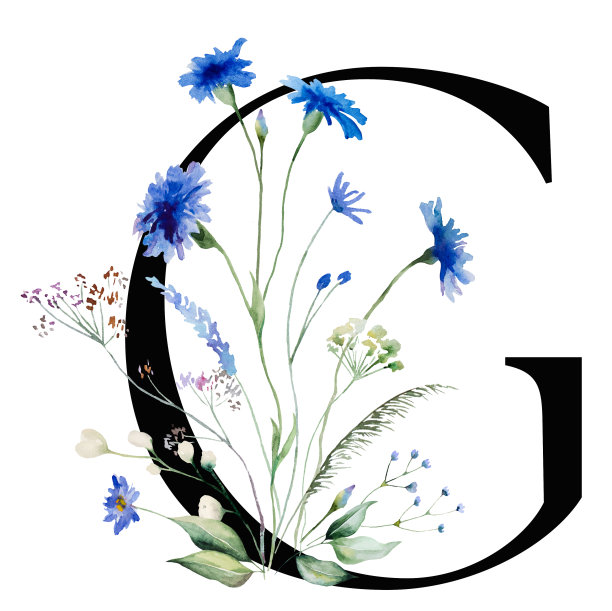 黑色字母G配水彩蓝色矢车菊和野花花束，夏日婚礼元素图片下载