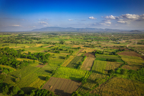 莫石村的农田和道路景观图片下载