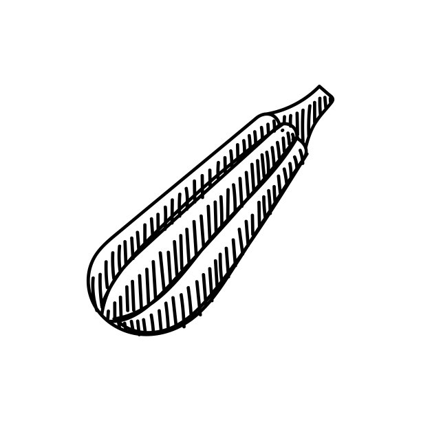 西葫芦线图标，草图设计，像素完美，可编辑笔触。标志、标志、符号。蔬菜。图片下载