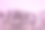 酒体散发着薰衣草的芬芳。前视图。放文字的地方。副本的空间。图片下载