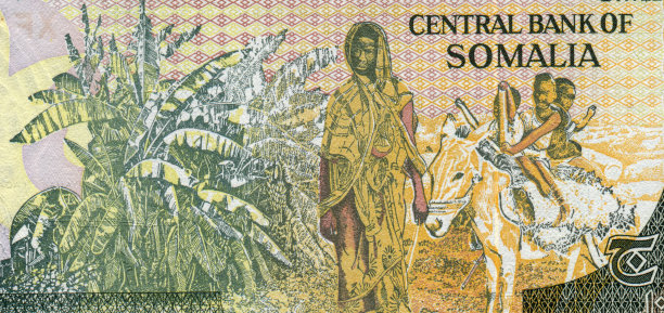 索马里货币上的黑人妇女图案设计图片下载