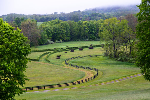 下雨天美丽的牧场和马场。图片下载