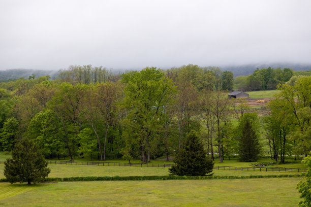 下雨天美丽的牧场和马场。图片下载