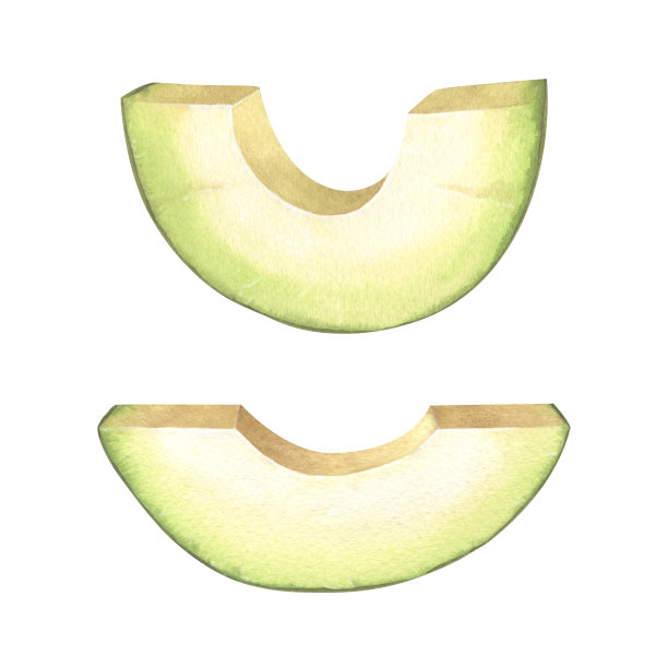 水彩画新鲜逼真的鳄梨片。手绘插图孤立在白色背景。完善的食品菜单、食品图纸、包装设计。图片下载