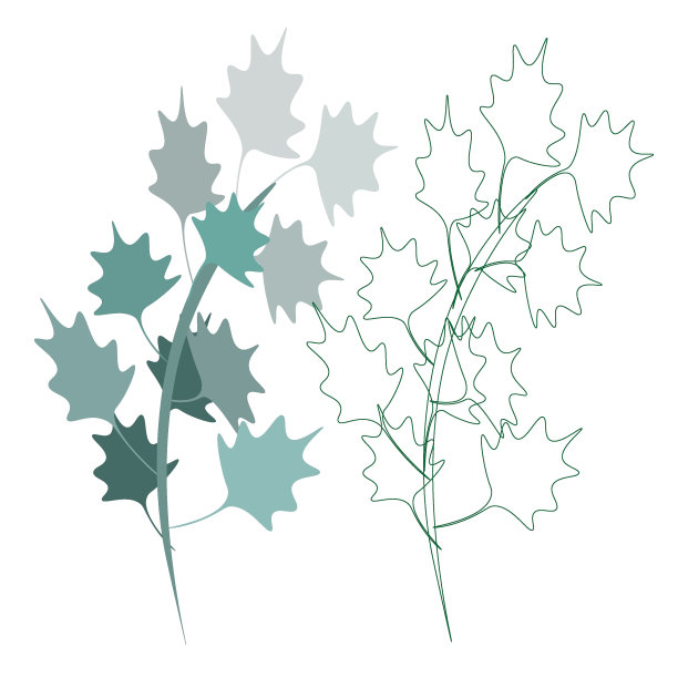 Japanglass364图片下载