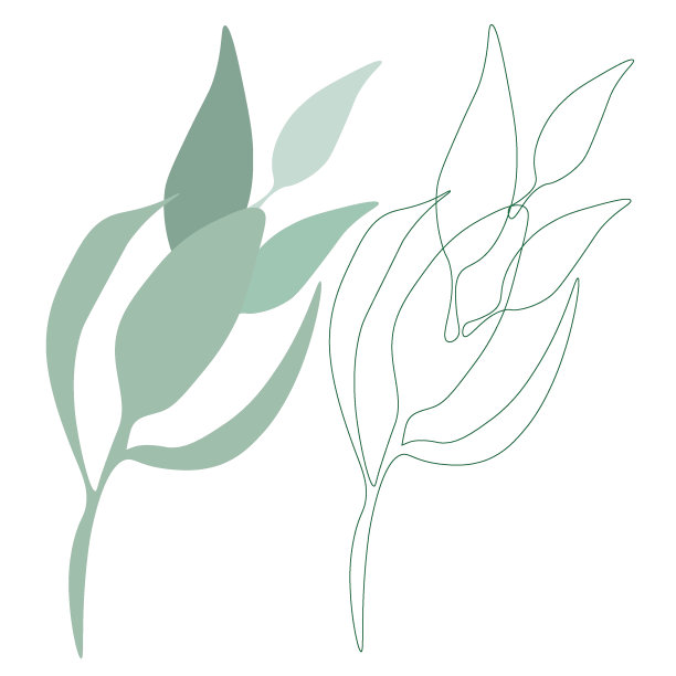 Japanglass363图片下载