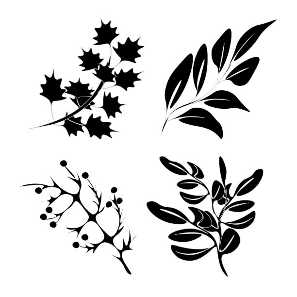 Japanherb145图片下载