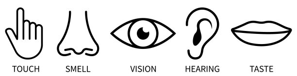 五种人类感官的图标图片下载