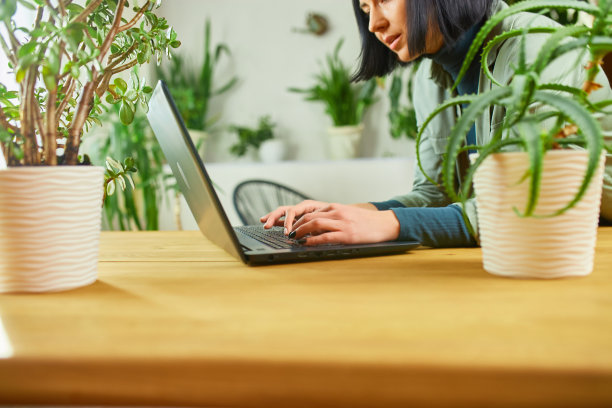女人浏览室内植物信息，女人用笔记本电脑图片下载
