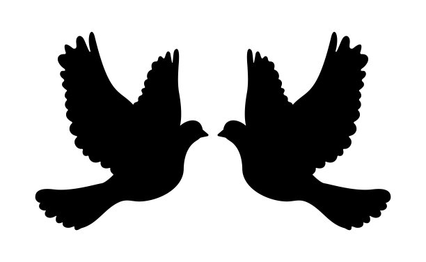 鸽子剪影两只鸽子在飞行插图图片下载