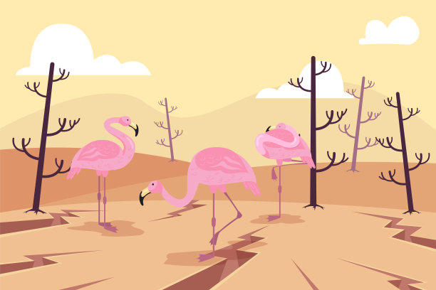 火烈鸟泻湖干涸，由于热矢量插图图片下载