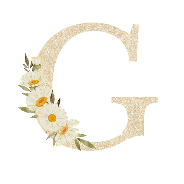 水彩画雏菊花字母G图片下载