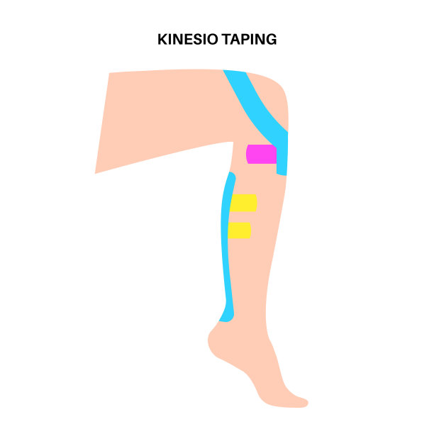 运动机能学治疗带图片下载
