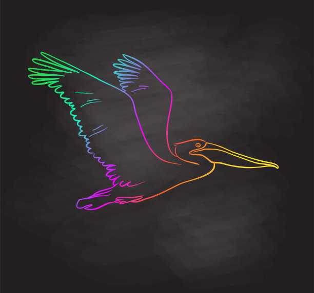 鹈鹕飞彩虹黑板图片下载