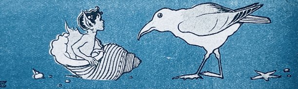 童话故事:小鸟和小贻贝游泳者交谈图片下载