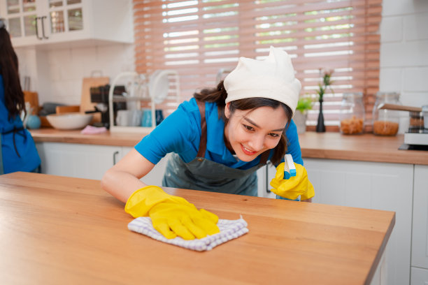 家务或家政服务女性打扫家中灰尘，代理小型清洁业务。专业设备清洗老宅。图片下载