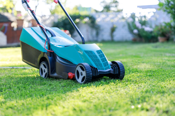 割草机在后院的绿草地上图片下载