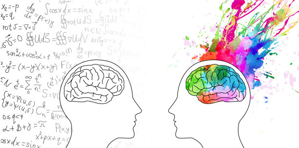 左/右大脑理论图片下载