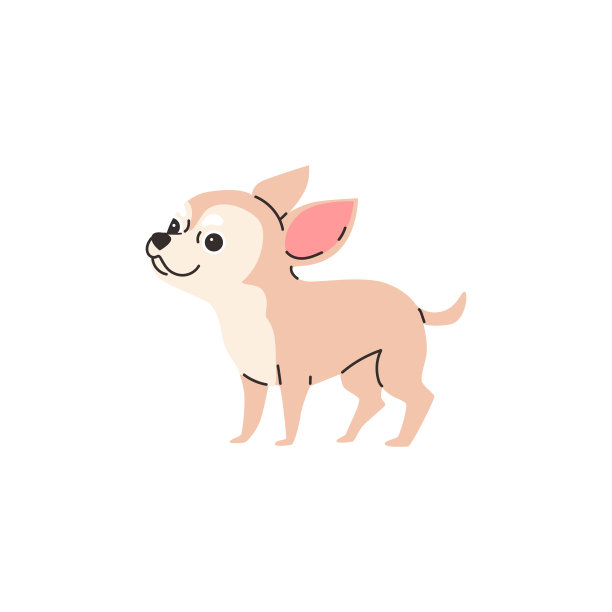 卡通吉娃娃纯种毛茸茸的狗，最好的宠物，可爱的小光吉娃娃狗矢量插图孤立图片下载