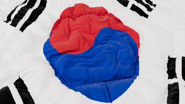 韩国国旗高细节波浪形背景图片下载