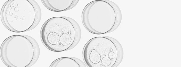 长方形横幅上有分离的培养皿。实验室，分子，细菌和病毒的研究。可以粘贴在你的背景上吗图片下载