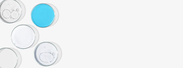 长方形横幅上有分离的培养皿。实验室，分子，细菌和病毒的研究。可以粘贴在你的背景上吗图片下载