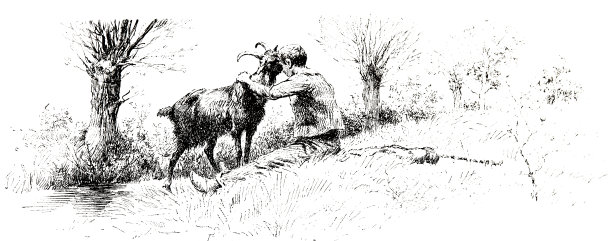 坐在草地上的男孩欢迎一只山羊图片下载