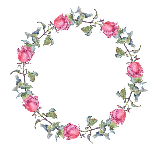 水彩圈边框模板设计。分枝具粉红色玫瑰花，叶孤立在白色底色上。手绘夏季植物。带有复制空间的艺术。婚礼请柬的剪贴画图片下载