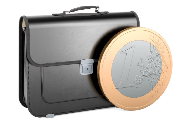 公文包与欧元硬币，3D渲染图片下载
