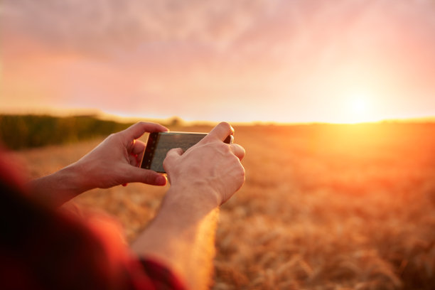 一名男子在麦田里使用手机。浅的焦点。图片下载