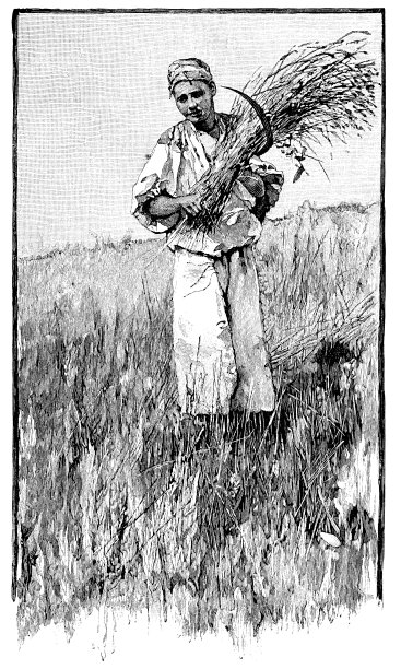 伏尔加鞑靼农民画像- 18世纪图片下载