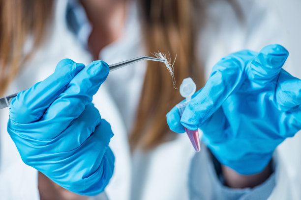 法医科学家在实验室检查血液的腹部图片下载