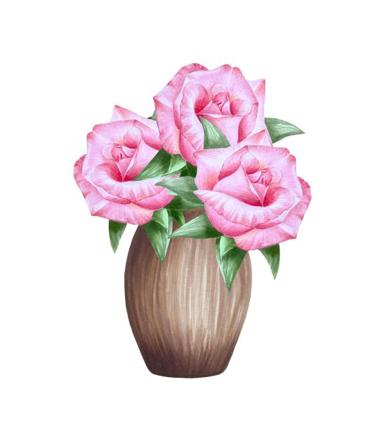 粉红色的玫瑰与绿叶在棕色粘土花瓶孤立的白色，手绘标记插图在水彩技术图片下载