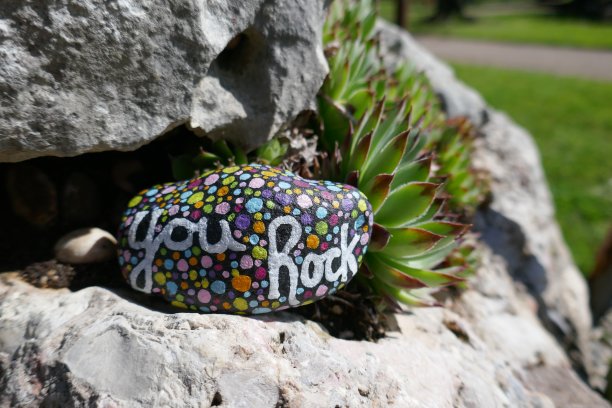 你在岩石上用多肉植物在岩石缝隙中传递善意的信息图片下载