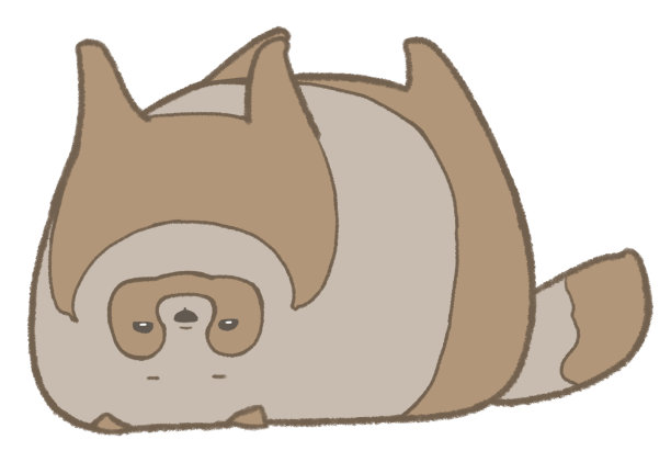 一只浣熊正仰面盯着我们图片下载