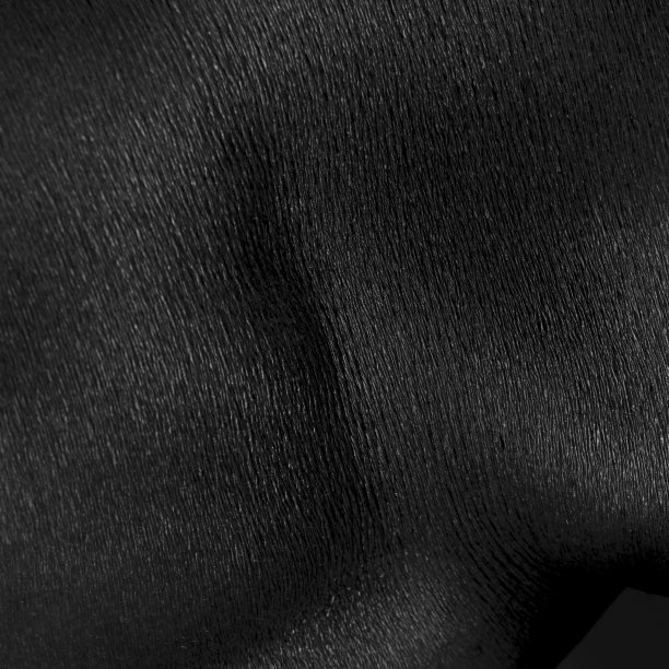 人类皮肤的详细纹理。美国黑人男性身体的特写部分。皮肤护理，身体护理，保健，卫生和医学的概念。微距摄影图片下载