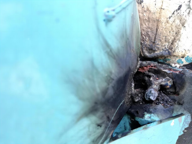 一张脏兮兮的厕所的照片，蓝色的墙和蓝色的马桶盖，角落里有一只猫坐在地上。图片下载