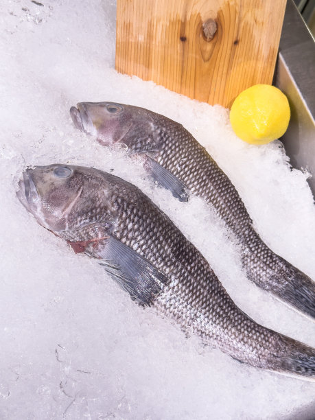 生鲜鱼图片下载